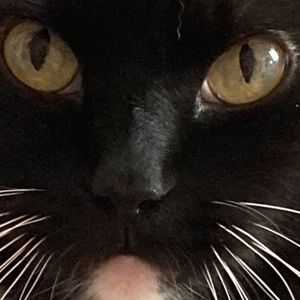 Meet your Posher, Elizabeth